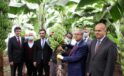 Muzda 6 çeşit tescillenecek